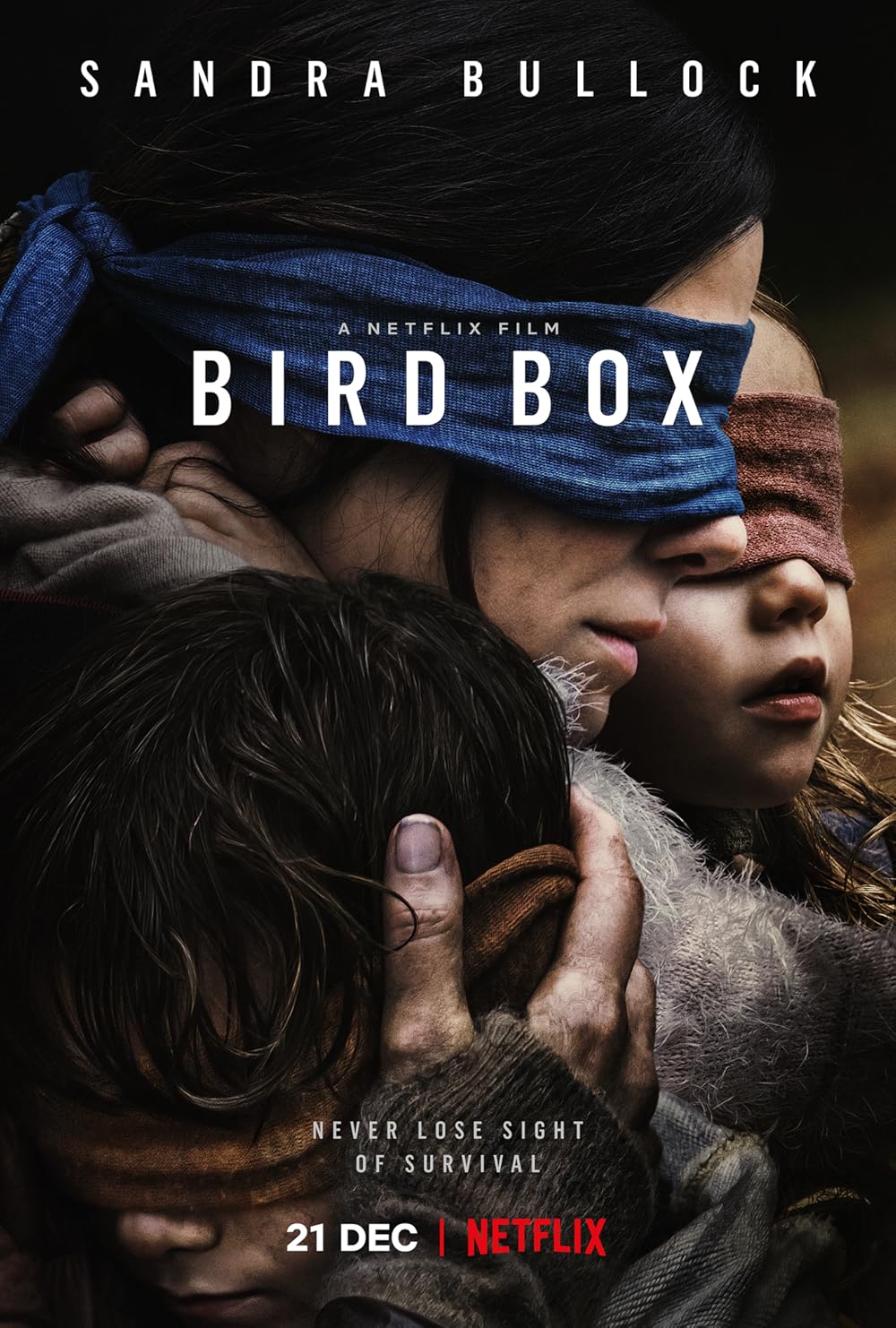 Bird Box poster
