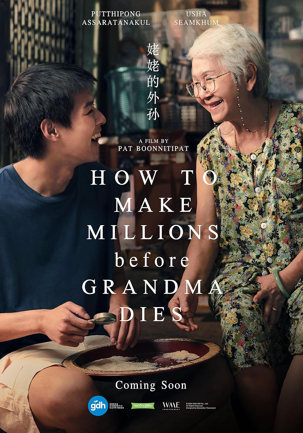 How to Make Millions Before Grandma Dies poster